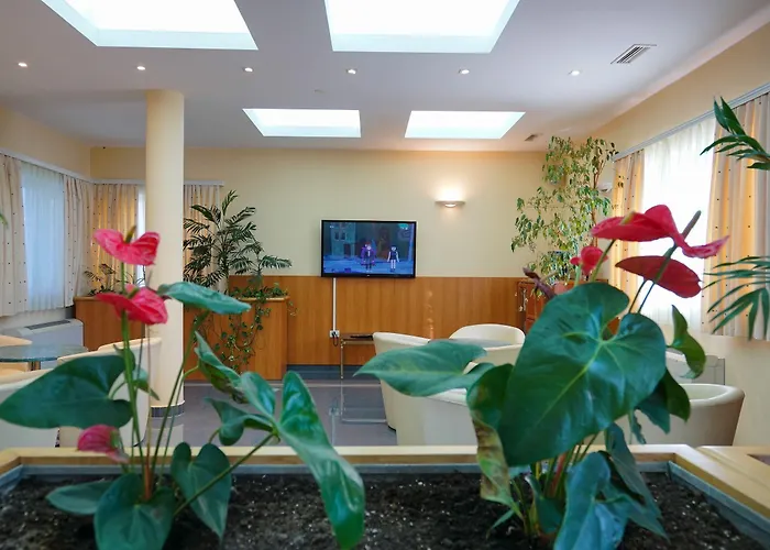 Отель Belvedere 3*