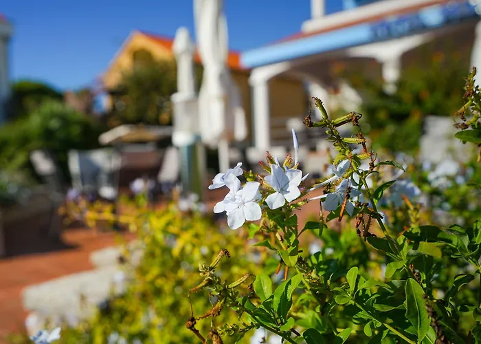 Belvedere Отель 3*