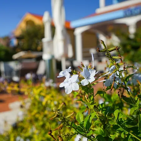 Belvedere Szálloda 3*