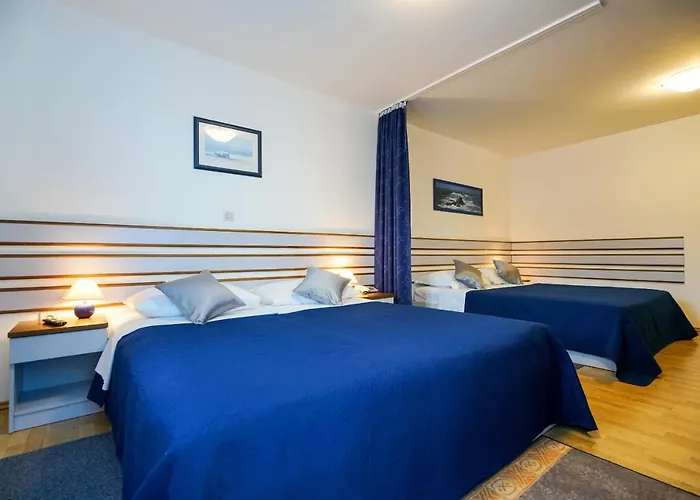 Belvedere 3* Сукошан